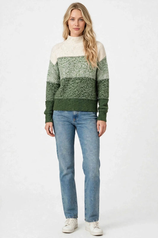 Pull Col Montant en Maille Dégradée