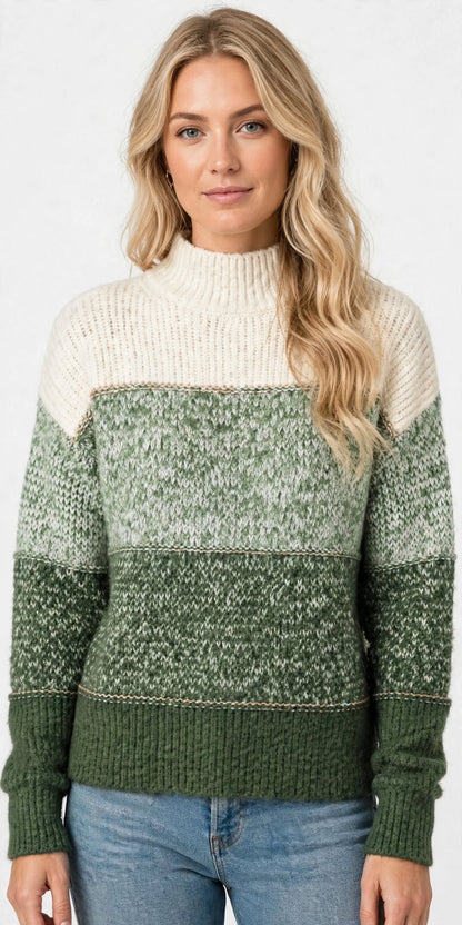 Pull Col Montant en Maille Dégradée
